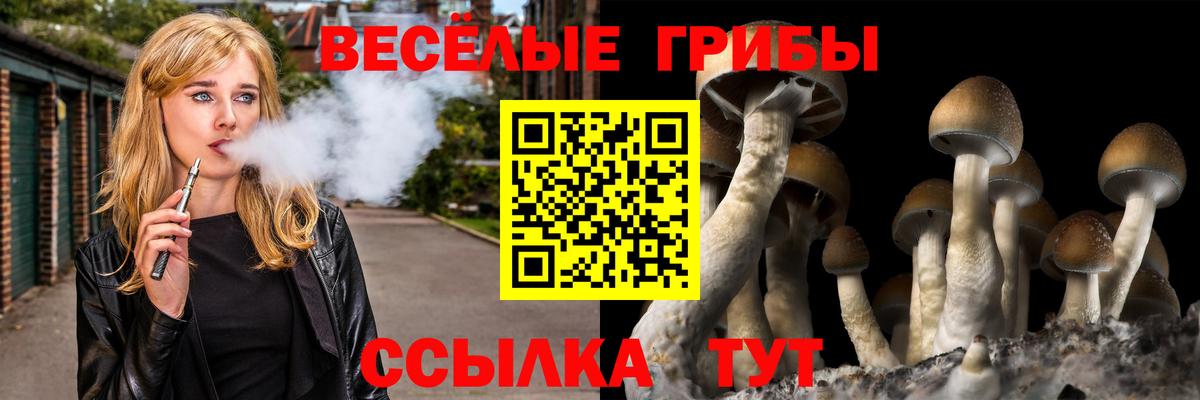 Бирск  Галлюциногенные грибы мухоморы  Галлюциногенные грибы прущие грибы  Вход с VPN 